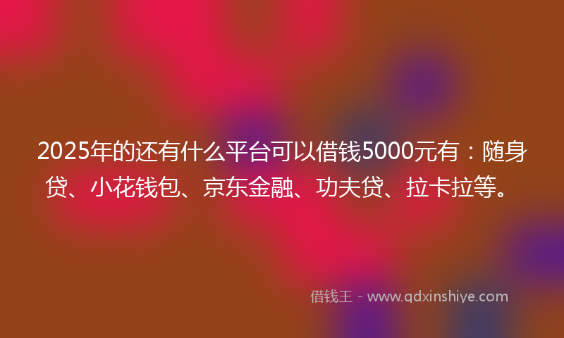2025年的还有什么平台可以借钱5000元有：随身贷、小花钱包、京东金融、功夫贷、拉卡拉等。