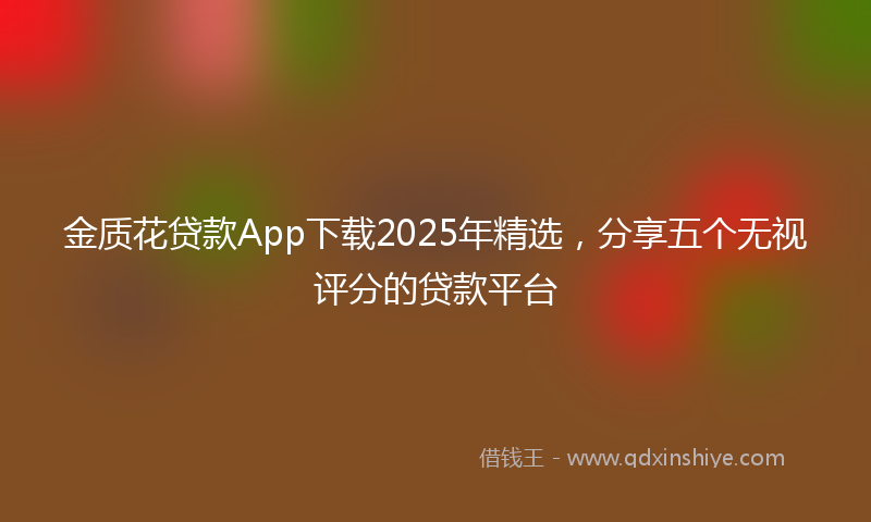 金质花贷款App下载2025年精选，分享五个无视评分的贷款平台