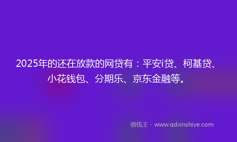 2025年的还在放款的网贷有：平安i贷、柯基贷、小花钱包、分期乐、京东金融等。