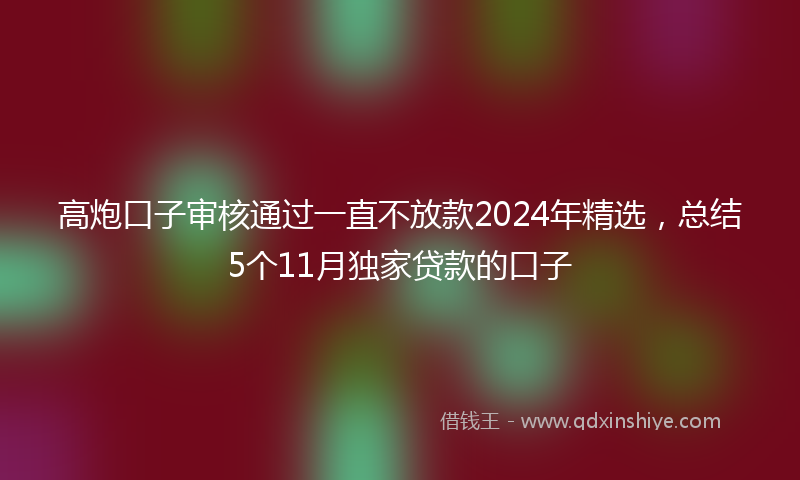 高炮口子审核通过一直不放款2024年精选，总结5个11月独家贷款的口子