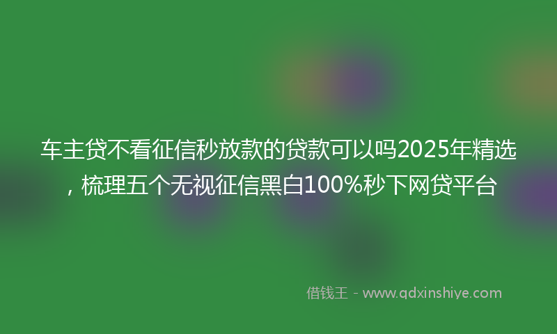 车主贷不看征信秒放款的贷款可以吗2025年精选，梳理五个无视征信黑白100%秒下网贷平台