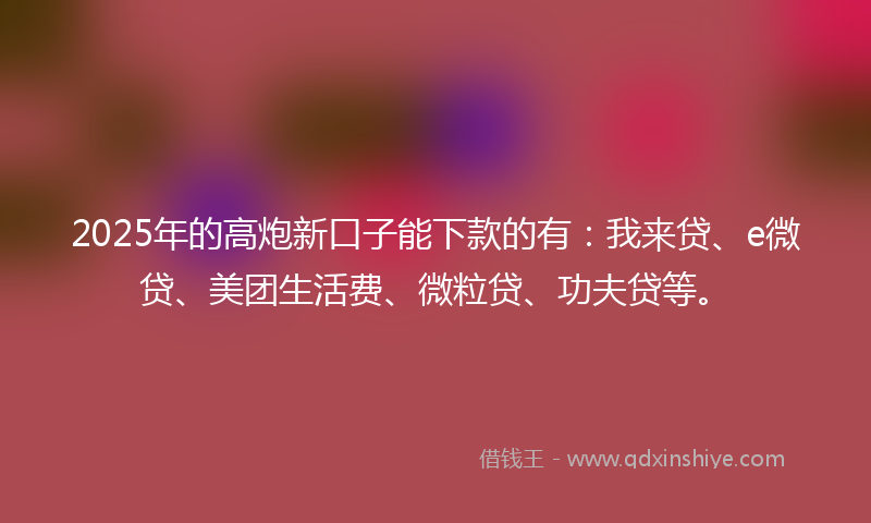 2025年的高炮新口子能下款的有：我来贷、e微贷、美团生活费、微粒贷、功夫贷等。