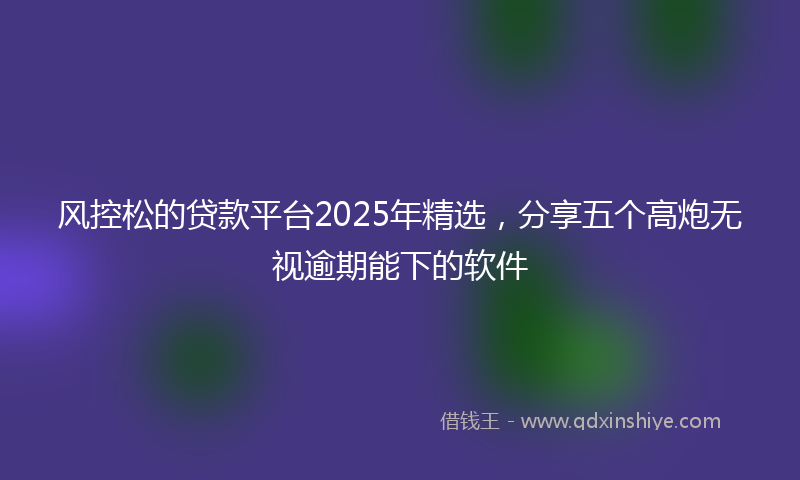 风控松的贷款平台2025年精选，分享五个高炮无视逾期能下的软件