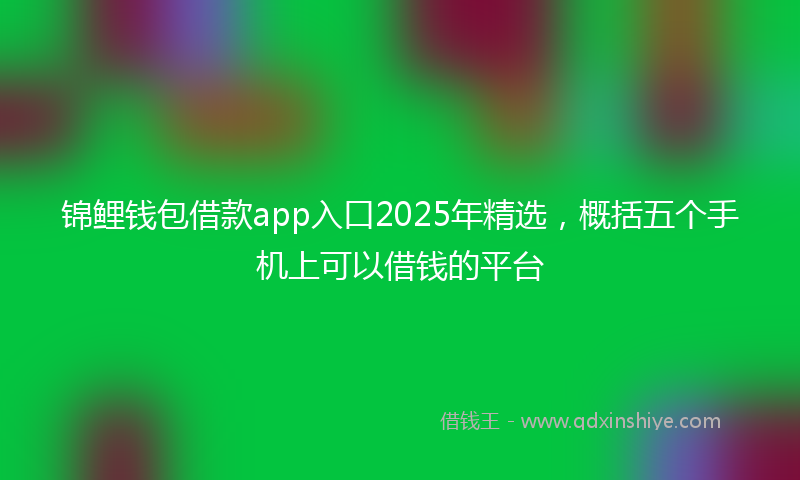 锦鲤钱包借款app入口2025年精选，概括五个手机上可以借钱的平台