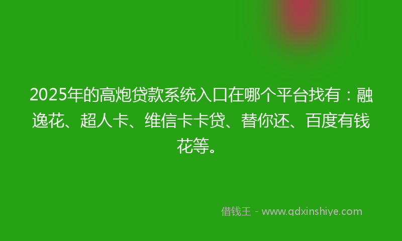 2025年的高炮贷款系统入口在哪个平台找有：融逸花、超人卡、维信卡卡贷、替你还、百度有钱花等。