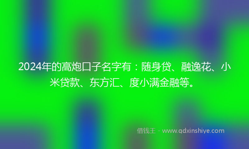 2024年的高炮口子名字有：随身贷、融逸花、小米贷款、东方汇、度小满金融等。
