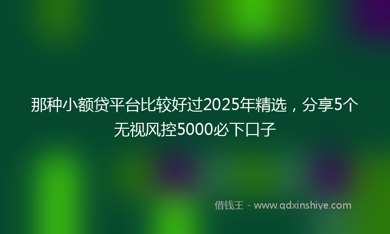 那种小额贷平台比较好过2025年精选，分享5个无视风控5000必下口子