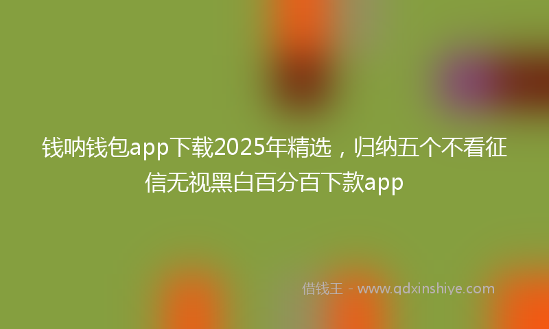 钱呐钱包app下载2025年精选，归纳五个不看征信无视黑白百分百下款app