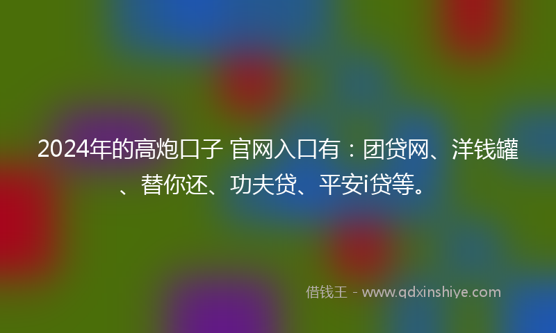 2024年的高炮口子 官网入口有：团贷网、洋钱罐、替你还、功夫贷、平安i贷等。