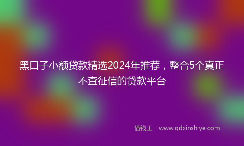 黑口子小额贷款精选2024年推荐，整合5个真正不查征信的贷款平台