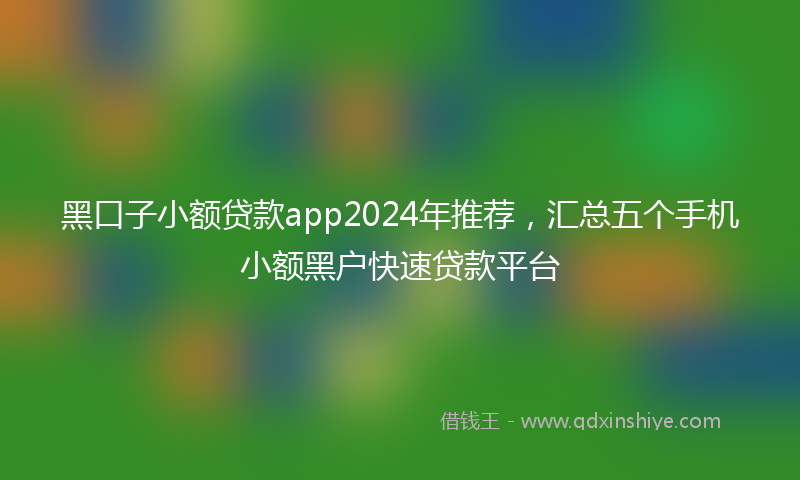 黑口子小额贷款app2024年推荐，汇总五个手机小额黑户快速贷款平台