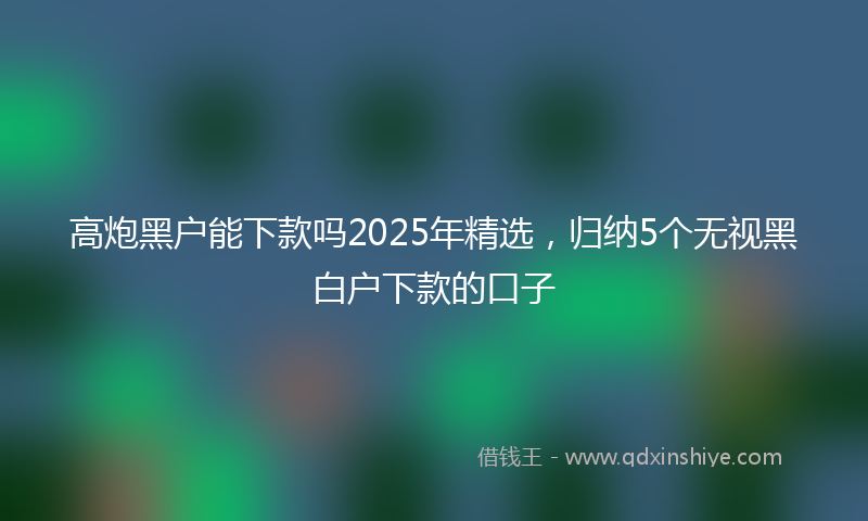 高炮黑户能下款吗2025年精选，归纳5个无视黑白户下款的口子