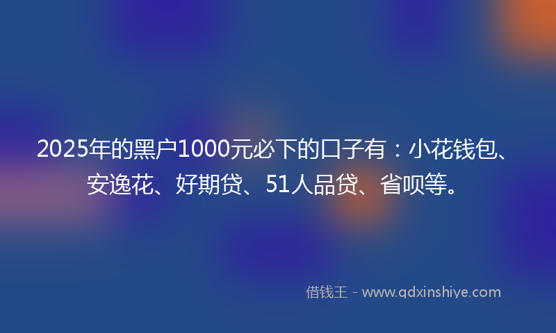 2025年的黑户1000元必下的口子有：小花钱包、安逸花、好期贷、51人品贷、省呗等。