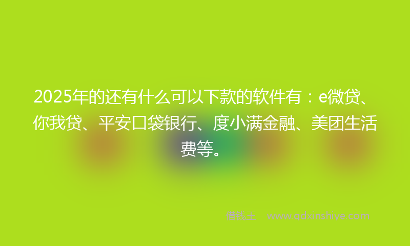 2025年的还有什么可以下款的软件有：e微贷、你我贷、平安口袋银行、度小满金融、美团生活费等。