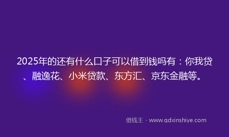 2025年的还有什么口子可以借到钱吗有：你我贷、融逸花、小米贷款、东方汇、京东金融等。