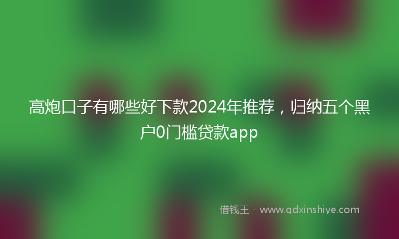 高炮口子有哪些好下款2024年推荐，归纳五个黑户0门槛贷款app