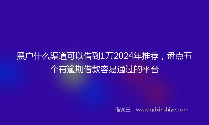 黑户什么渠道可以借到1万2024年推荐，盘点五个有逾期借款容易通过的平台
