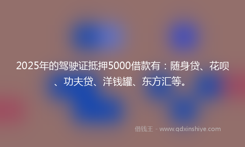 2025年的驾驶证抵押5000借款有：随身贷、花呗、功夫贷、洋钱罐、东方汇等。