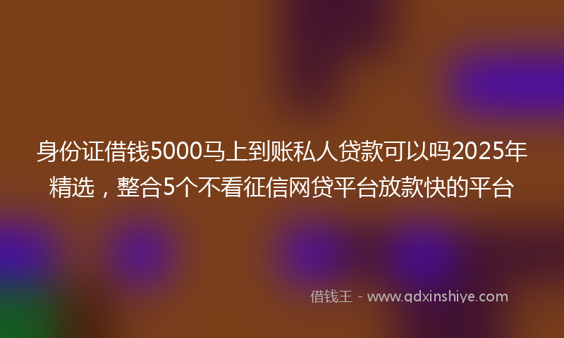 身份证借钱5000马上到账私人贷款可以吗2025年精选，整合5个不看征信网贷平台放款快的平台