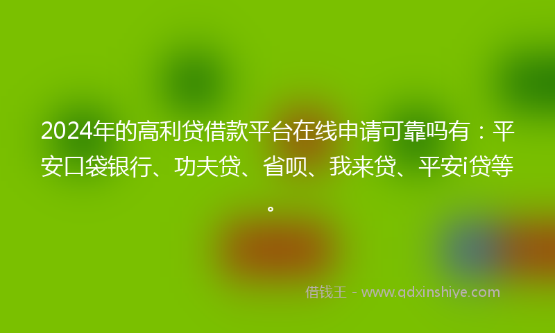 2024年的高利贷借款平台在线申请可靠吗有：平安口袋银行、功夫贷、省呗、我来贷、平安i贷等。