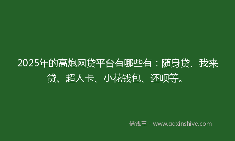 2025年的高炮网贷平台有哪些有：随身贷、我来贷、超人卡、小花钱包、还呗等。