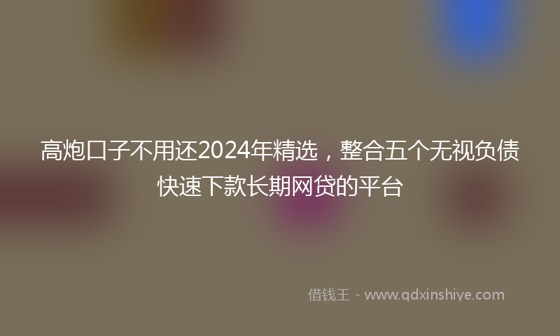 高炮口子不用还2024年精选，整合五个无视负债快速下款长期网贷的平台