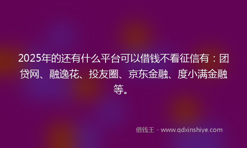 2025年的还有什么平台可以借钱不看征信有：团贷网、融逸花、投友圈、京东金融、度小满金融等。