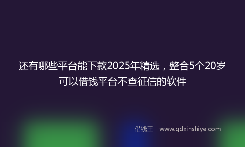 还有哪些平台能下款2025年精选，整合5个20岁可以借钱平台不查征信的软件