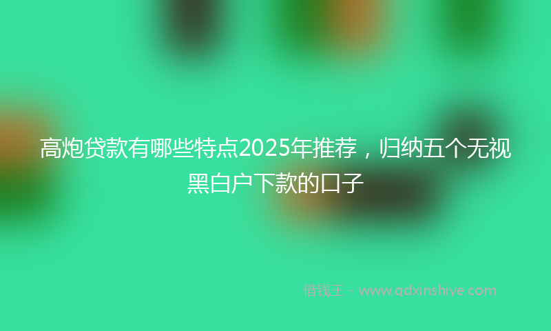 高炮贷款有哪些特点2025年推荐，归纳五个无视黑白户下款的口子