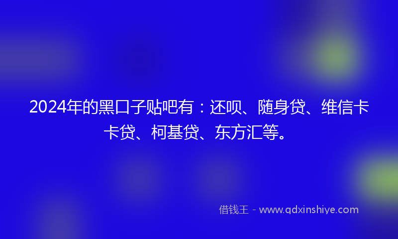 2024年的黑口子贴吧有：还呗、随身贷、维信卡卡贷、柯基贷、东方汇等。