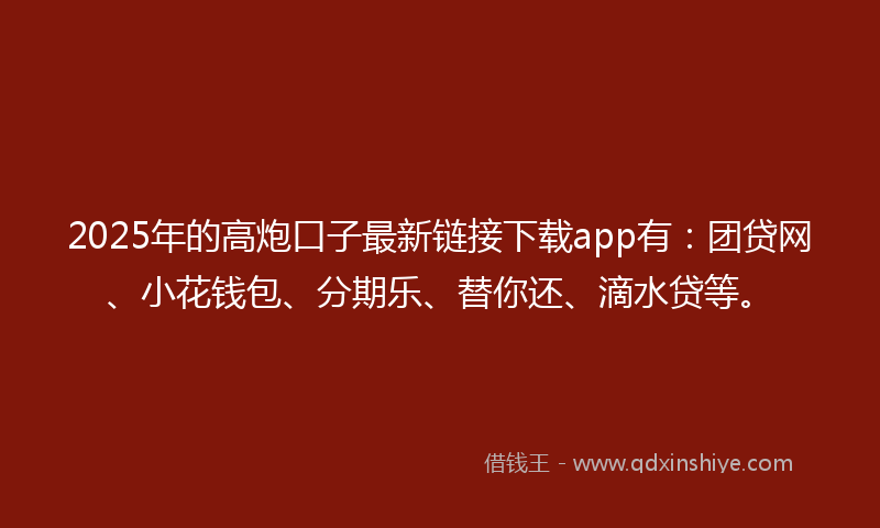 2025年的高炮口子最新链接下载app有：团贷网、小花钱包、分期乐、替你还、滴水贷等。
