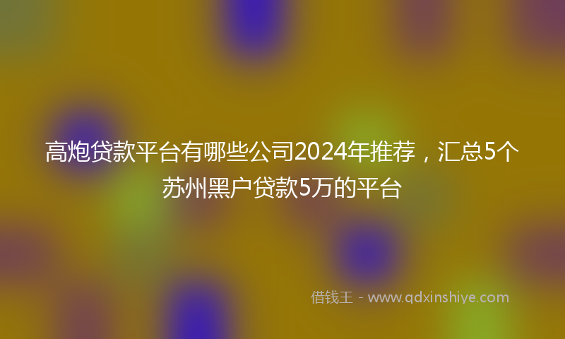 高炮贷款平台有哪些公司2024年推荐，汇总5个苏州黑户贷款5万的平台
