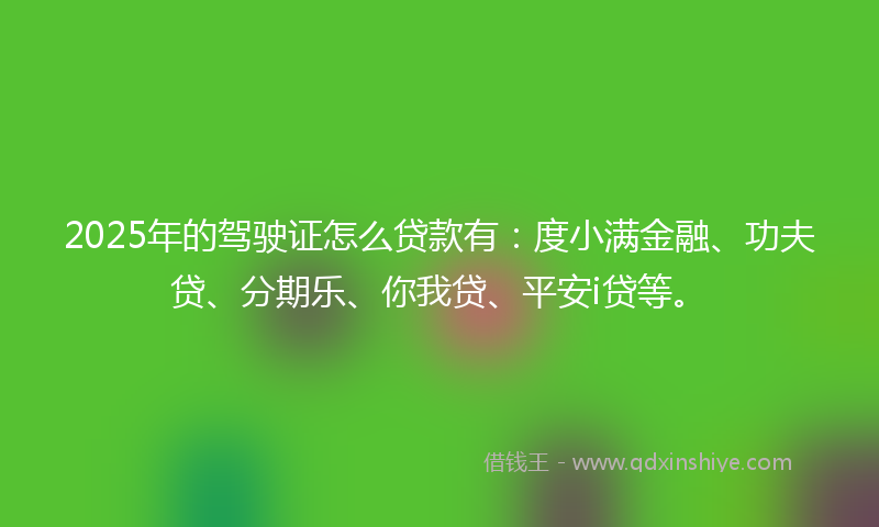 2025年的驾驶证怎么贷款有：度小满金融、功夫贷、分期乐、你我贷、平安i贷等。