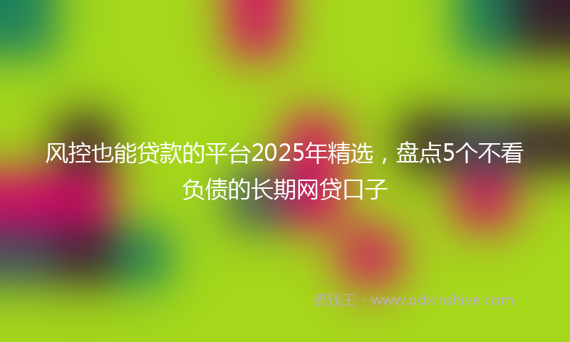 风控也能贷款的平台2025年精选，盘点5个不看负债的长期网贷口子