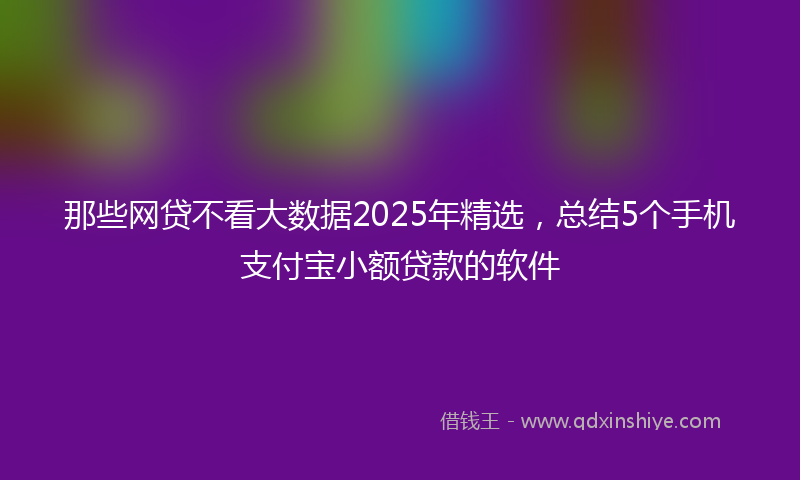 那些网贷不看大数据2025年精选，总结5个手机支付宝小额贷款的软件