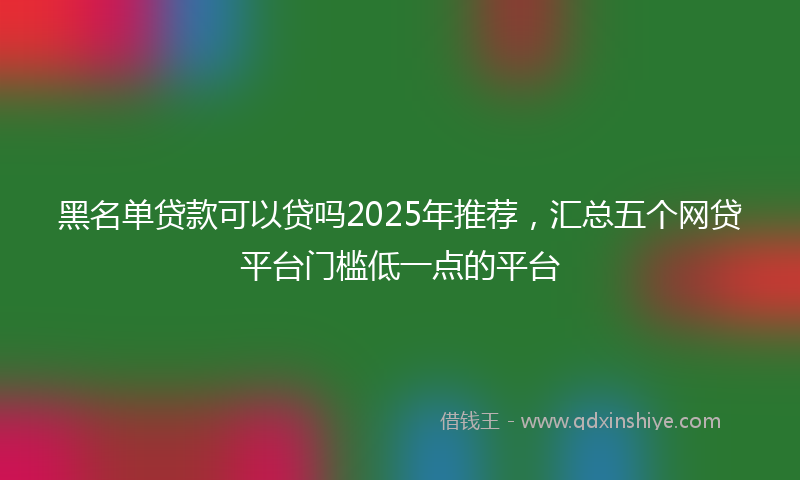 黑名单贷款可以贷吗2025年推荐，汇总五个网贷平台门槛低一点的平台