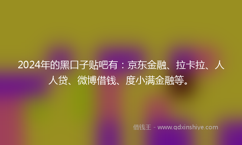 2024年的黑口子贴吧有：京东金融、拉卡拉、人人贷、微博借钱、度小满金融等。