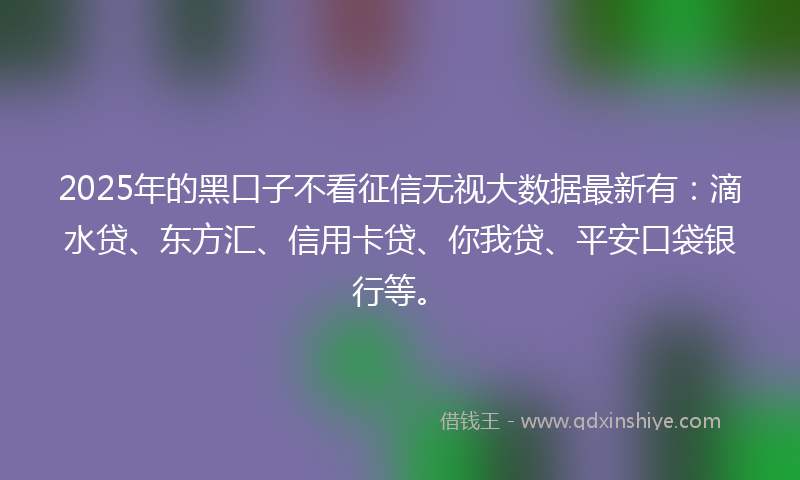 2025年的黑口子不看征信无视大数据最新有：滴水贷、东方汇、信用卡贷、你我贷、平安口袋银行等。
