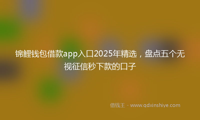 锦鲤钱包借款app入口2025年精选，盘点五个无视征信秒下款的口子