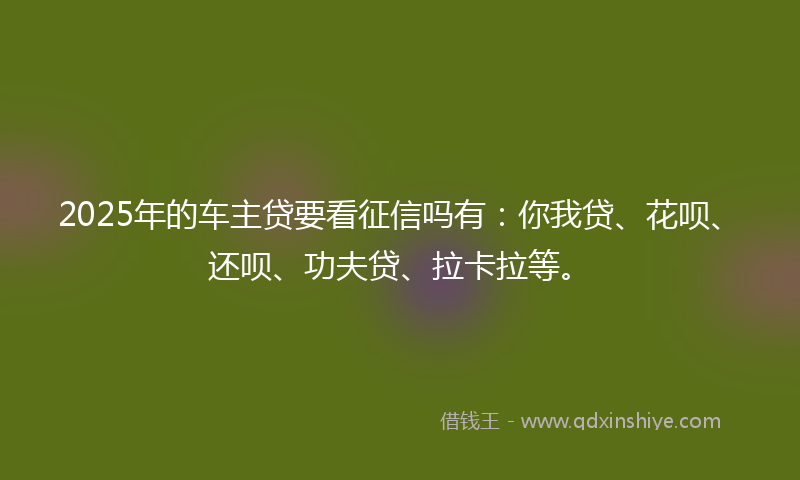 2025年的车主贷要看征信吗有：你我贷、花呗、还呗、功夫贷、拉卡拉等。