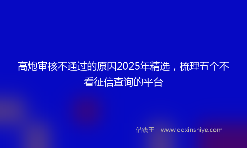 高炮审核不通过的原因2025年精选，梳理五个不看征信查询的平台