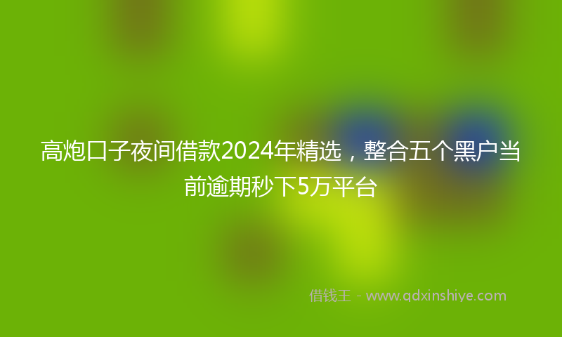 高炮口子夜间借款2024年精选，整合五个黑户当前逾期秒下5万平台
