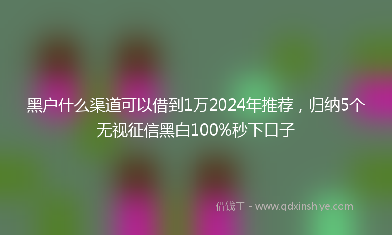 黑户什么渠道可以借到1万2024年推荐，归纳5个无视征信黑白100%秒下口子