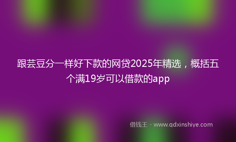 跟芸豆分一样好下款的网贷2025年精选，概括五个满19岁可以借款的app