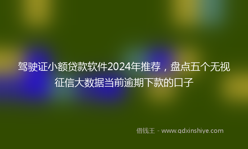 驾驶证小额贷款软件2024年推荐，盘点五个无视征信大数据当前逾期下款的口子