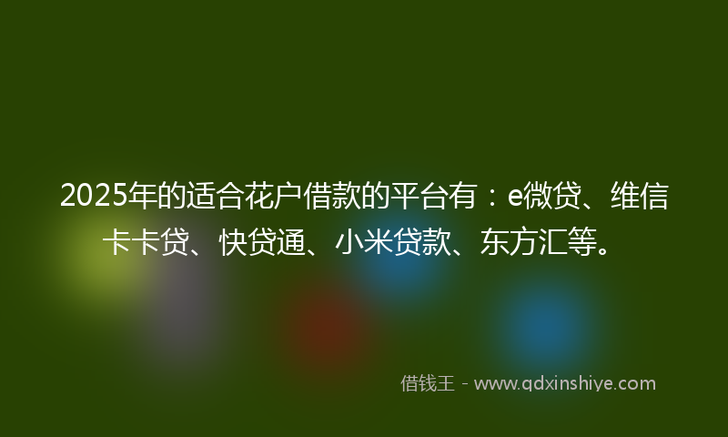 2025年的适合花户借款的平台有：e微贷、维信卡卡贷、快贷通、小米贷款、东方汇等。