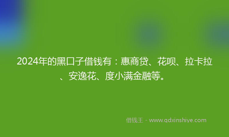 2024年的黑口子借钱有：惠商贷、花呗、拉卡拉、安逸花、度小满金融等。