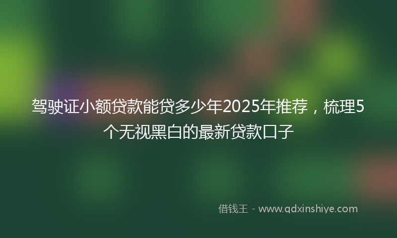 驾驶证小额贷款能贷多少年2025年推荐，梳理5个无视黑白的最新贷款口子