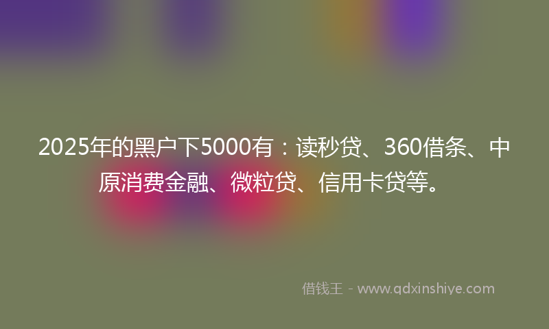 2025年的黑户下5000有：读秒贷、360借条、中原消费金融、微粒贷、信用卡贷等。
