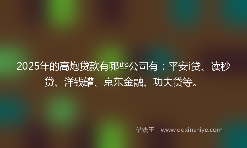 2025年的高炮贷款有哪些公司有：平安i贷、读秒贷、洋钱罐、京东金融、功夫贷等。